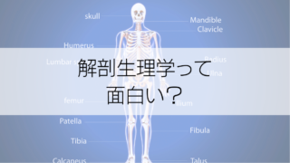 アロマなのに、どうして解剖生理学も学ぶ？