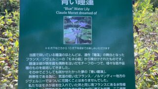 モネの庭/高知北川村/2023年10月