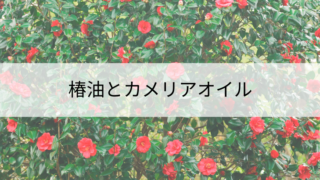 椿油とカメリアオイル