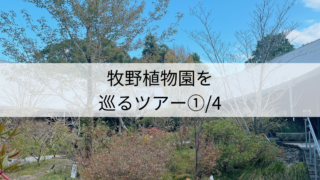 植物園を巡るシリーズ「牧野植物園」講座編①/4