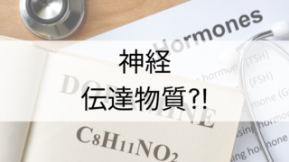 A10神経が刺激されて、ドーパミンが放出