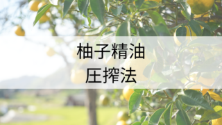 柚子精油-圧搾法-を調べてみた