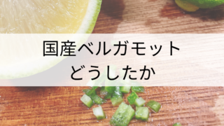 国産ベルガモット浸出油とシロップ漬け