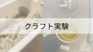アロマクラフトの色んな実験