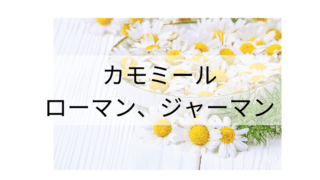 カモミールローマンと、カモミールジャーマン
