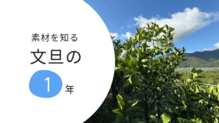 文旦を見せて頂いた1年