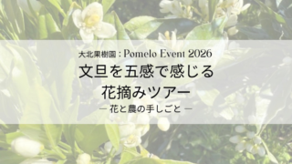 文旦を五感で感じる花摘みツアー　GWイベント