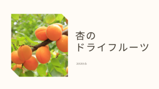 杏/収穫→ドライフルーツ